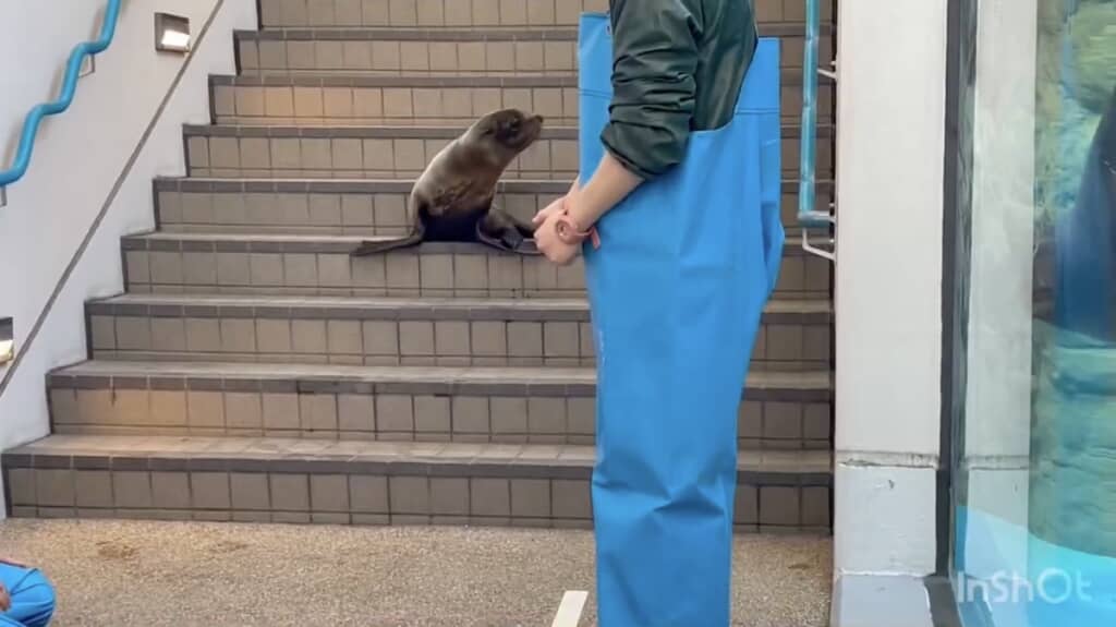 不安げなちのわちゃん