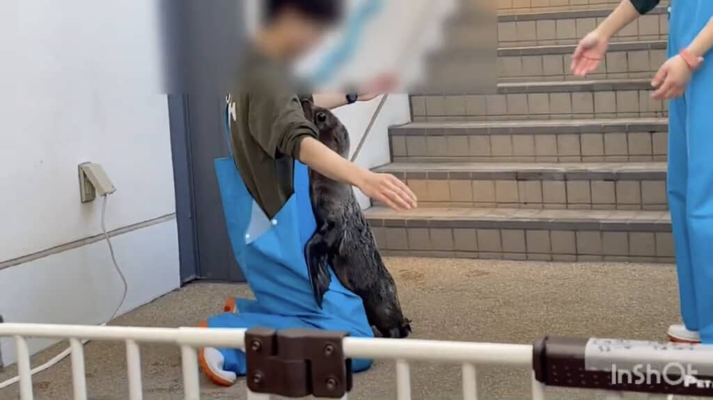 そのまま飼育員さんのもとへ直行！