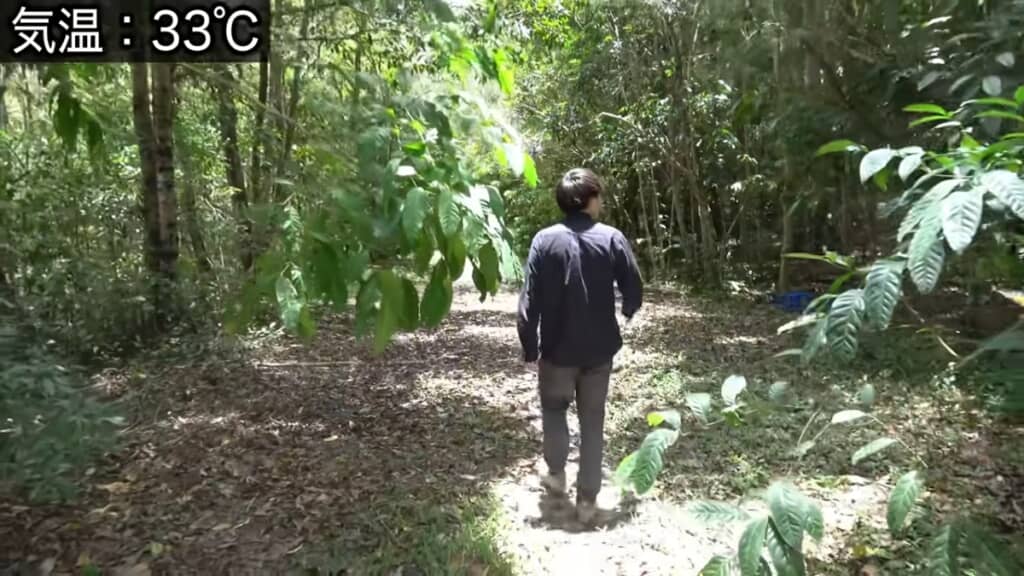 オーストラリアで野生の生き物を探します