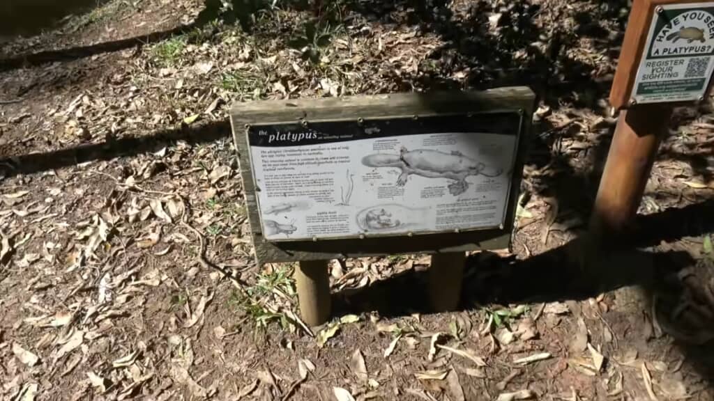 カモノハシの看板がありました