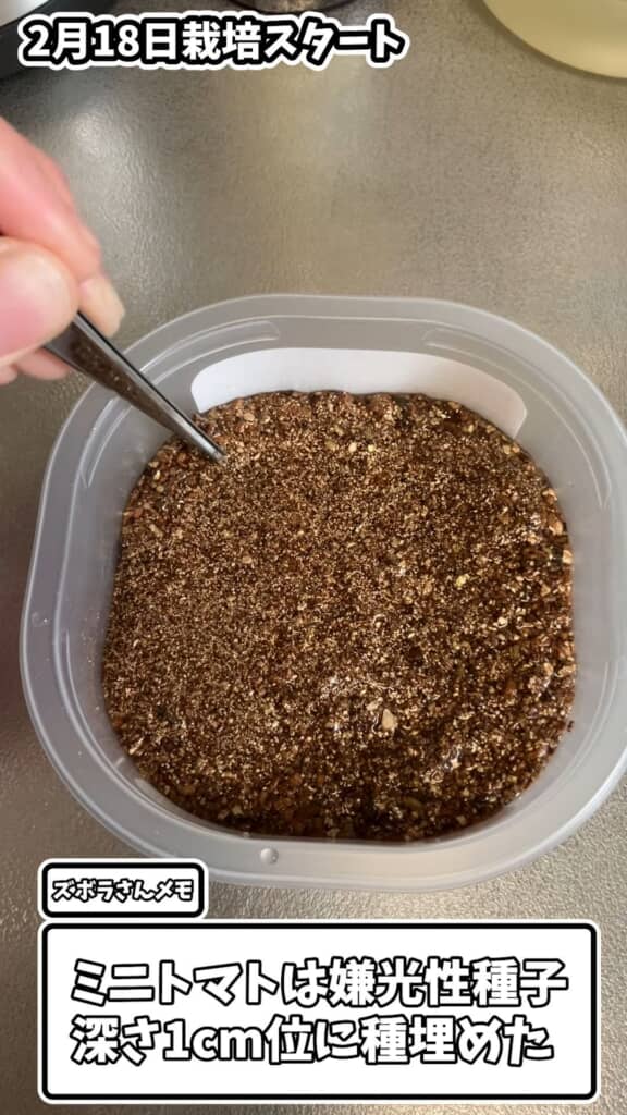ミニトマトの種をまいた直後の2月18日