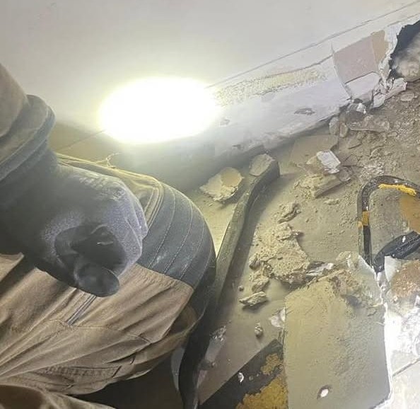 壁の中から“謎の音”……　中から出てきた“驚き”の正体に「本当に良かった……」「助けてくれてありがとう」など反響【海外】 | 動物 ねとらぼ