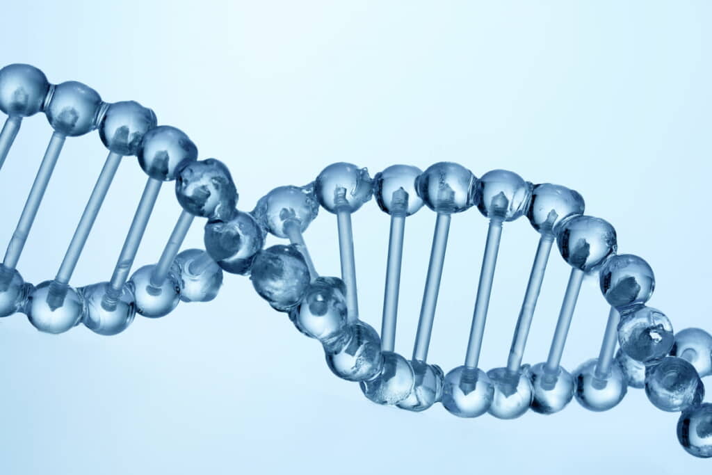 父親からの遺伝で……