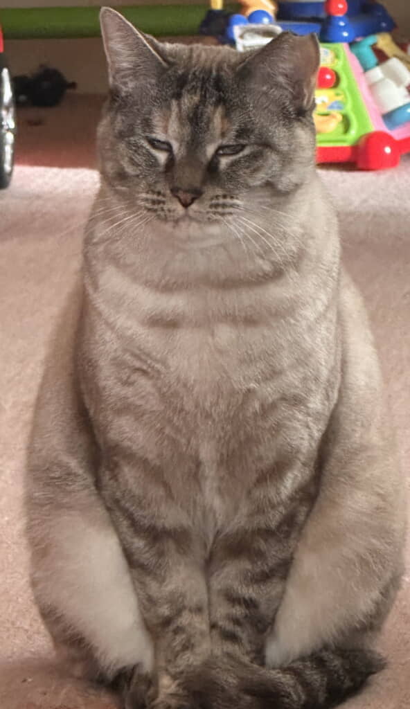 愛おしすぎるもっふりボディーに！