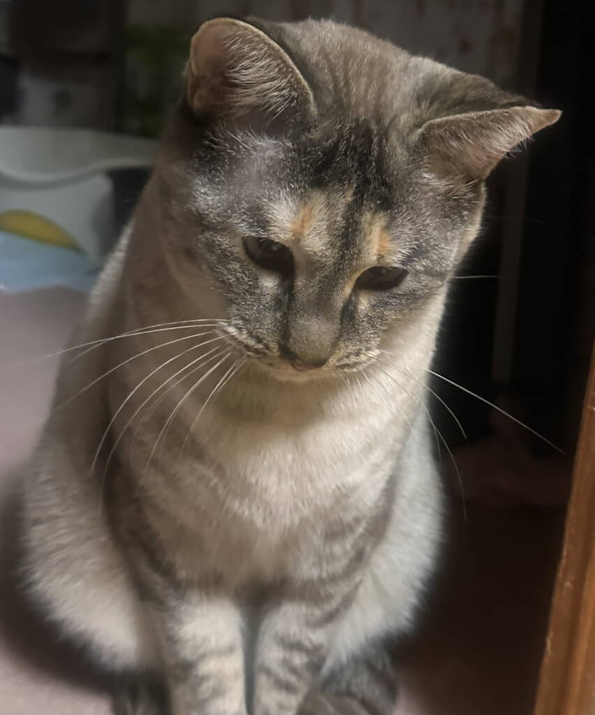 これからものびのびと暮らしてくださいね◎