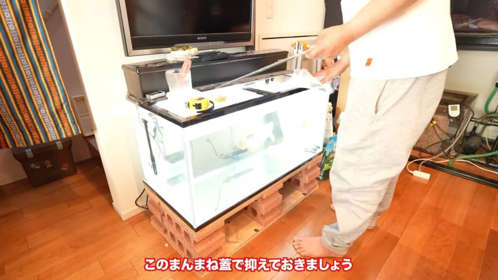 水槽のフタでビニール袋を固定して水温合わせ