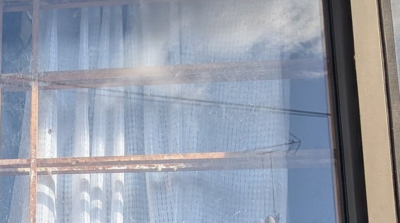 障子紙を貼らないのは、決してズボラなわけでなく……