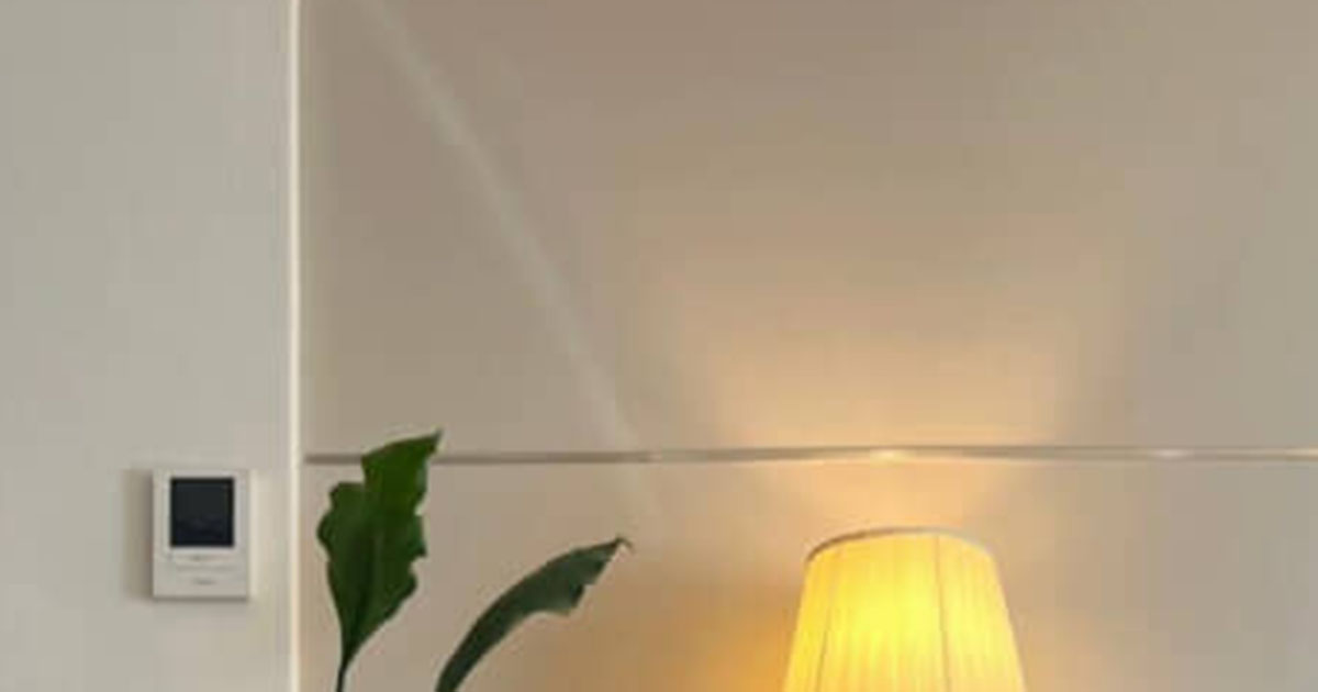 家賃8万5000円、26歳男性が住む都内1LDK→ドアを開けると……　驚きの空間に「こんな部屋に住みたい」（1/2） | 住まい ねとらぼ