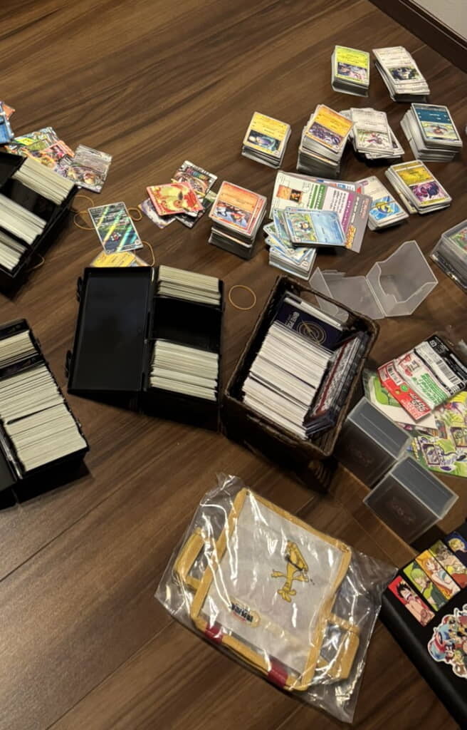 ……ポケモンカードを整理していたもよう