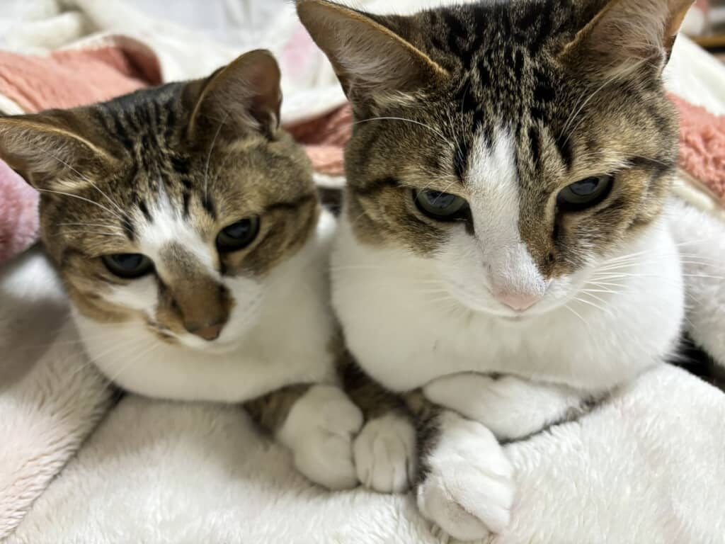 なんて尊い2ショット