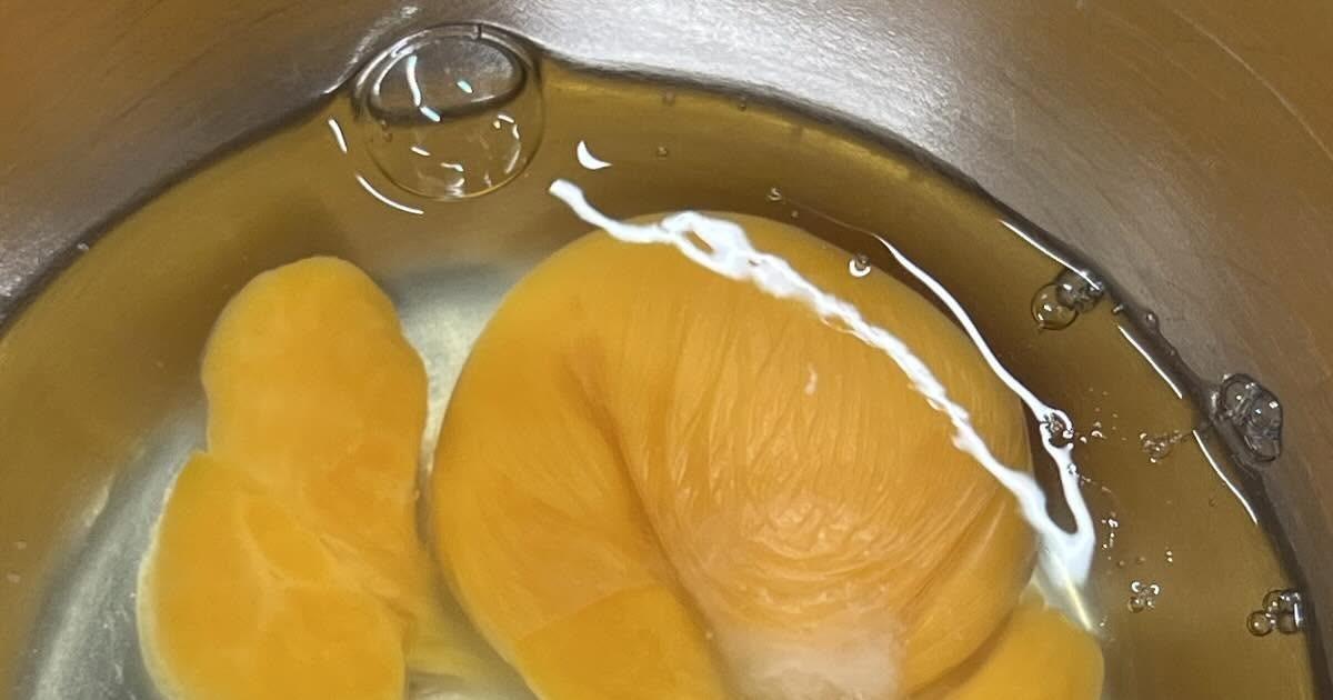 喫茶店の店主が、仕込みのため卵を割ったら……「なに!これ!」 出てきた“まさかの中身”に「初めてみました!」(1/4) | ライフスタイル ねとらぼ