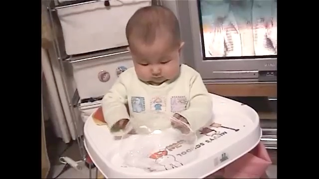 風船に興味津々