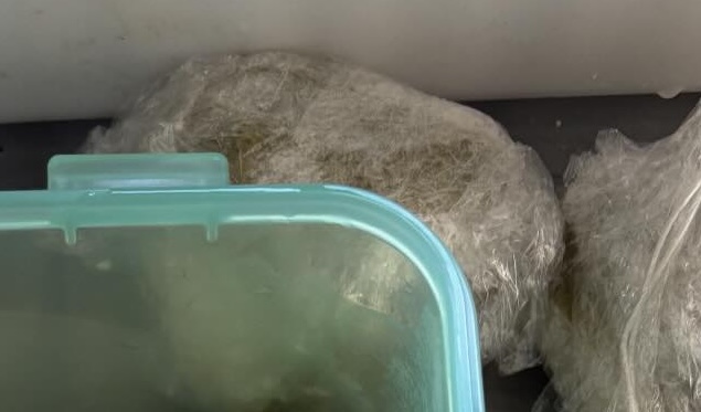 いったいその中身は？