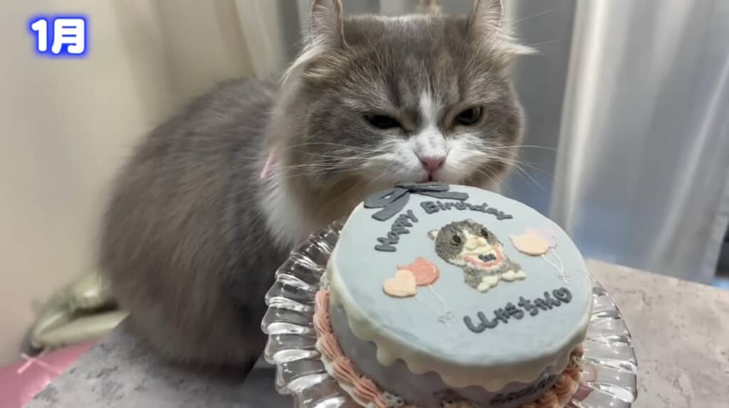 お誕生日おめでとう！