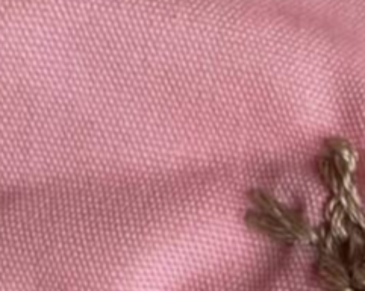 刺しゅう初挑戦のママ「カブトムシに見えるよね？」→完成したのは……「ギリ焦げたエビフライ」「インドネシアの壁画」「みえ…(ぐふぉ)」（1/3） | 教育・子育て ねとらぼ