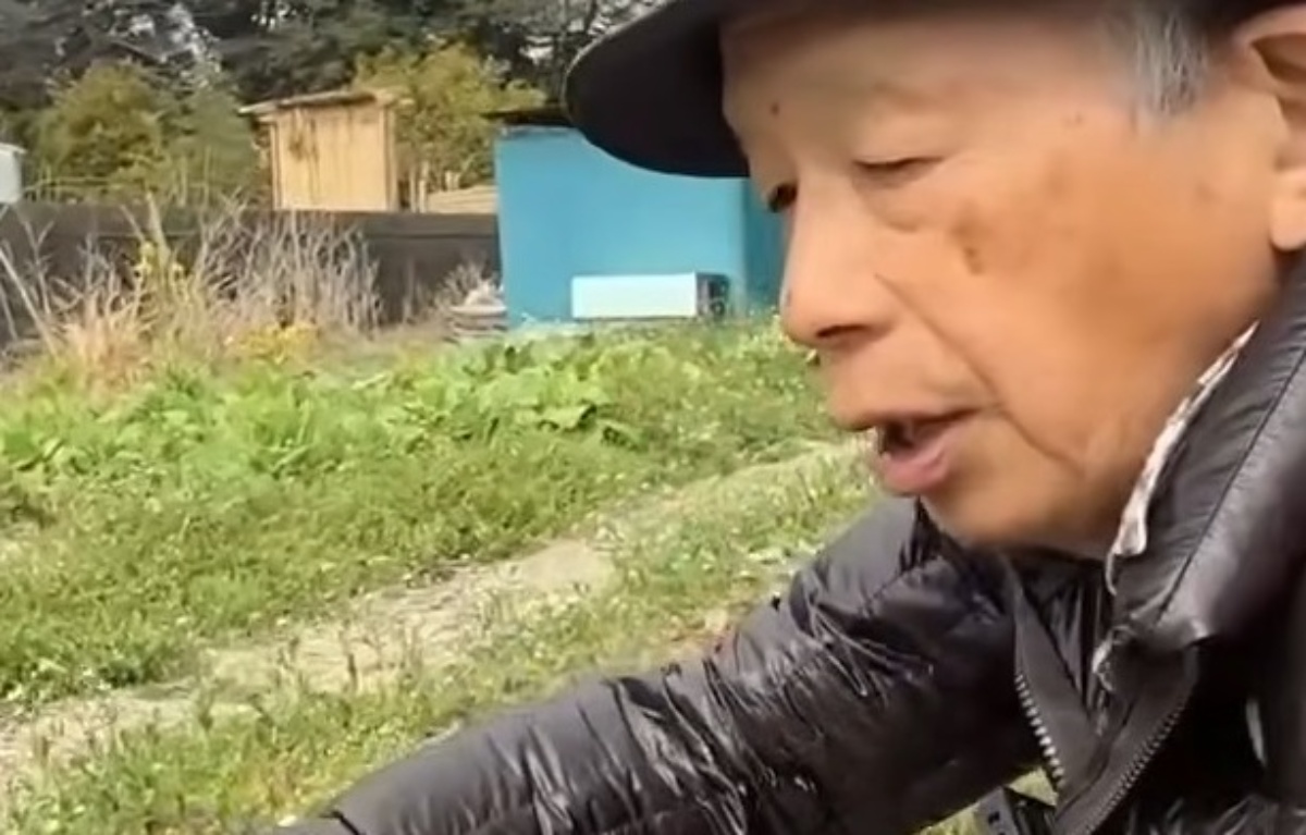 水もやってない放置畑→春になると勝手に…… 「不思議」まさかの光景に「なんの苦労もなくありがたい」「魅力的」(1/3) | ライフハック ねとらぼ