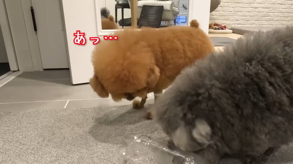 最後の1つが……！