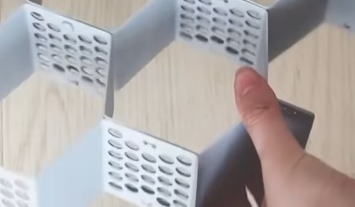 「使い方知って驚いた」ダイソー新商品の“蜂の巣”→実は……　「便利さに気づけなかった」「100円はありがたい」（2/3） | ライフスタイル ねとらぼ