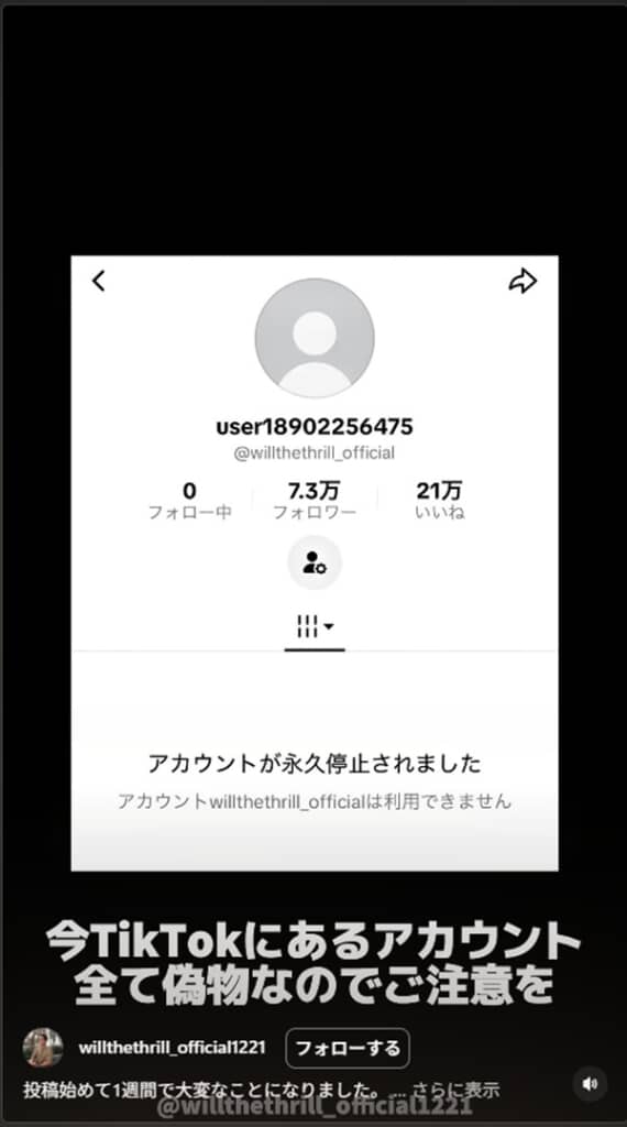 アカウントが永久停止されたアイアトン氏のTikTok