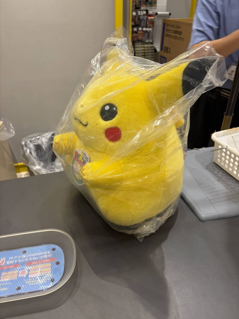 お迎えすることになったピカチュウ
