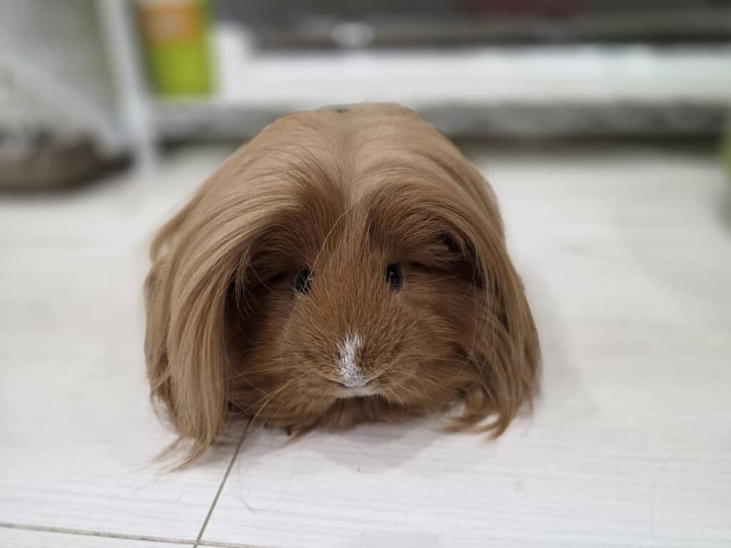 昔のキムタクっぽくも見えます