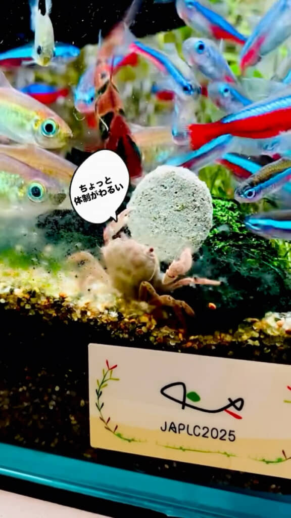 体勢を変えたくなった様子