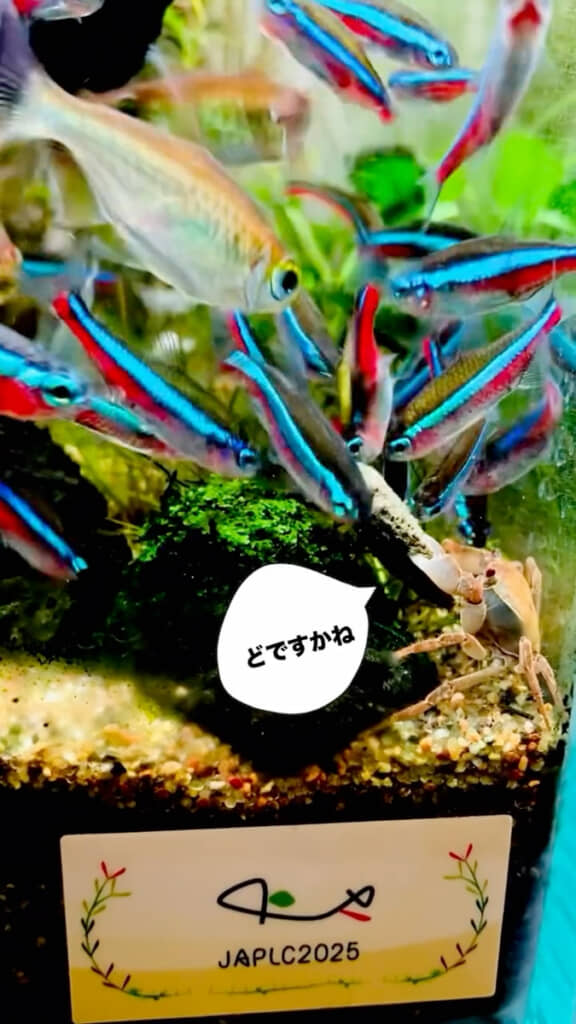 場所を移動して餌やり再開！