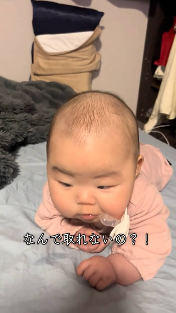 珍しい光景にびっくり