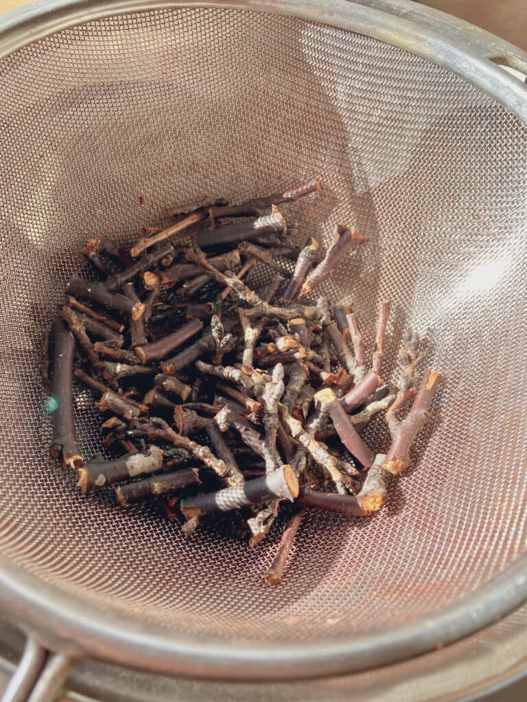 この桜の枝を煮出したら……