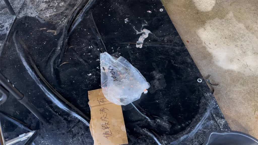 錦鯉が入っていた袋が物悲しいです