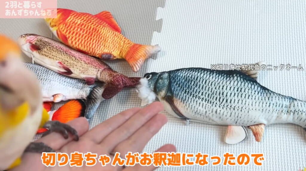 大好きな魚のおもちゃが壊れてしまい……