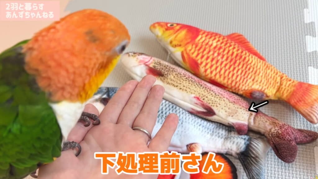 それぞれのニックネームを紹介する飼い主さん