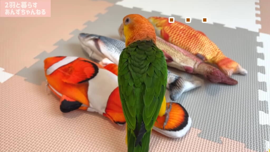 南国さんにはあまり興味がなさそう