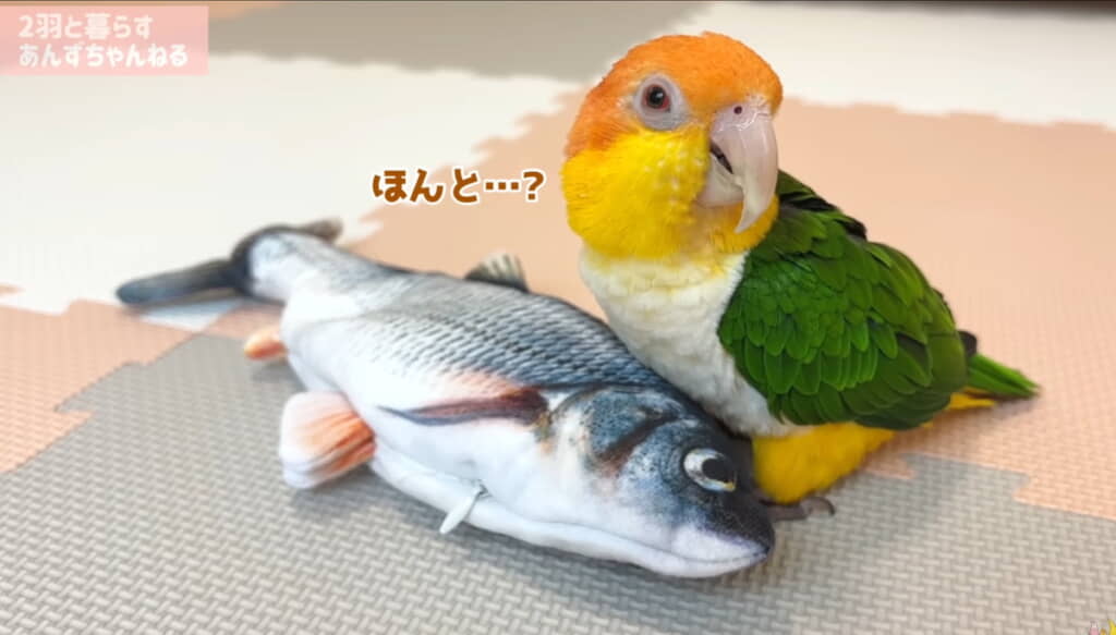 飼い主さん「またちょっとしたら復活するよ」