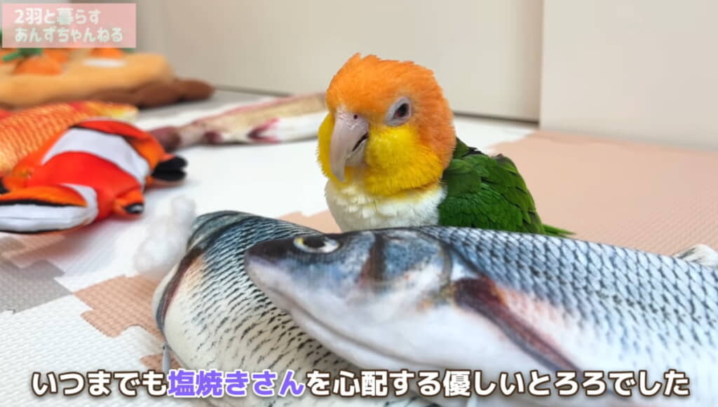 充電したらまた遊ぼうね！