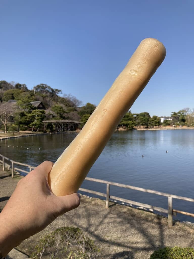 三溪園内の売店で購入できる非常に長いコイの餌