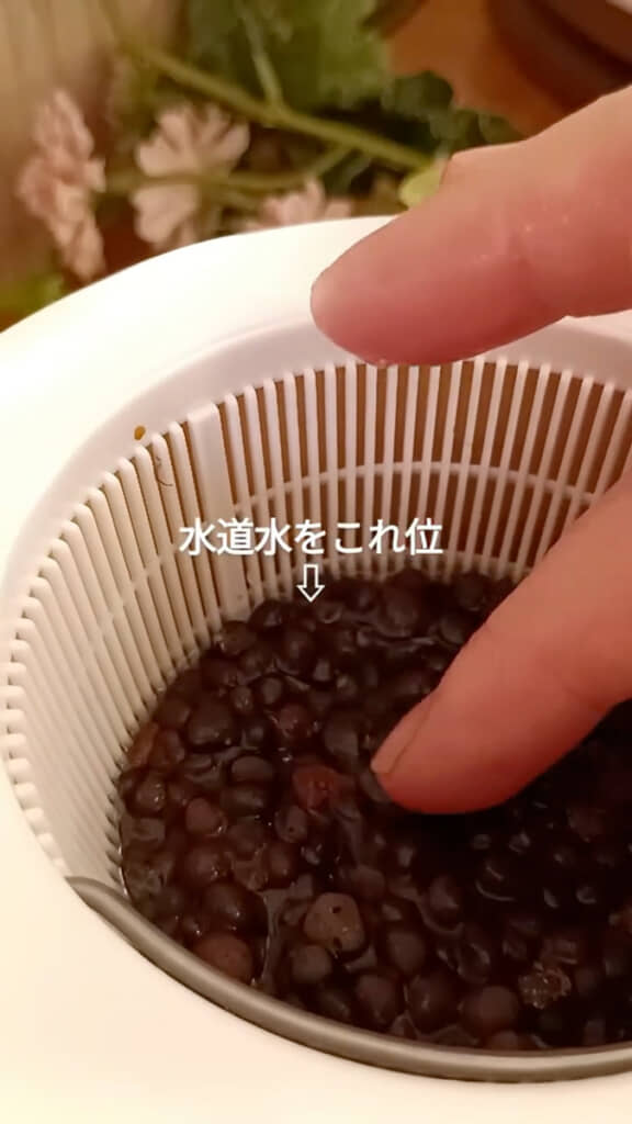 ハイドロボールの頭が出るくらいまで水を注ぐ