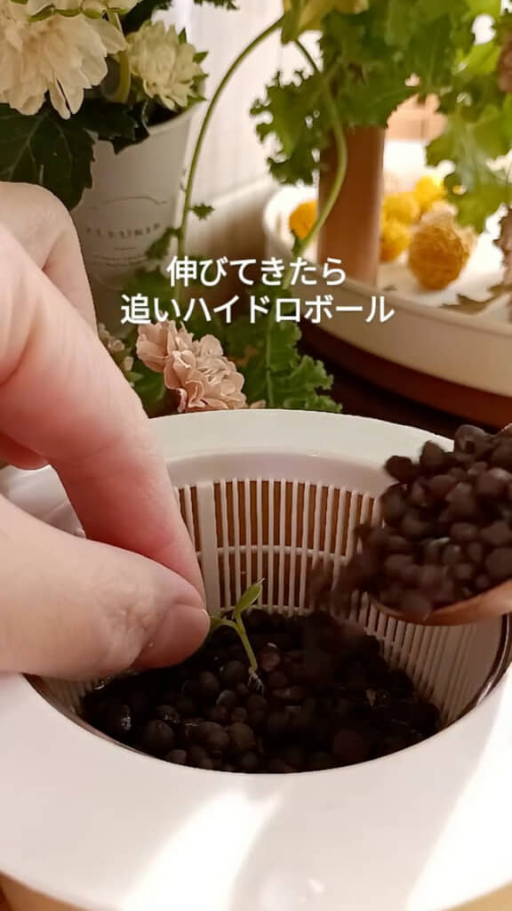 根本が倒れないようにハイドロボールで支える