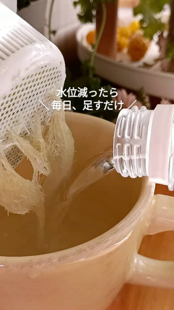 水位が減ったら足していく