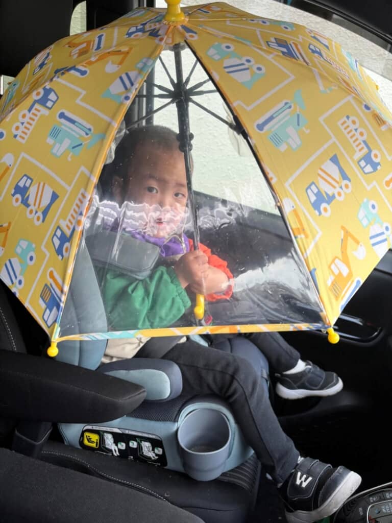 すっかり傘が気に入ってしまったようです