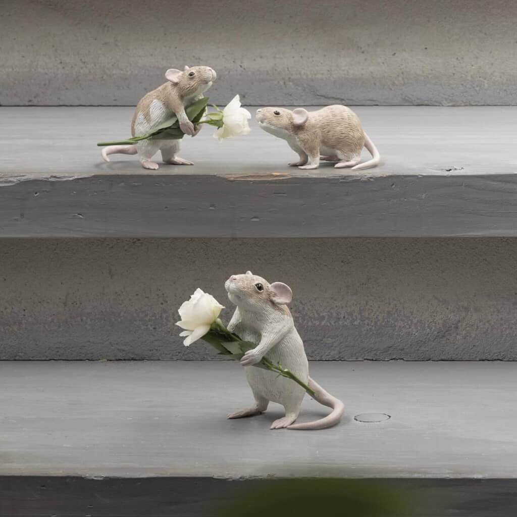 お花を持った姿が本当に愛らしい