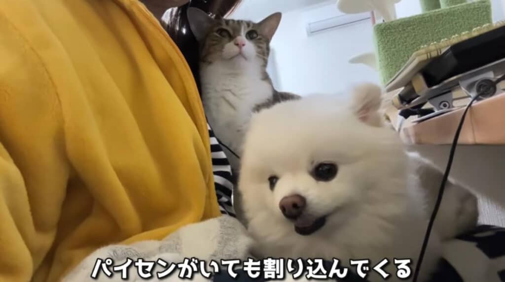 独占欲強めな男の子に