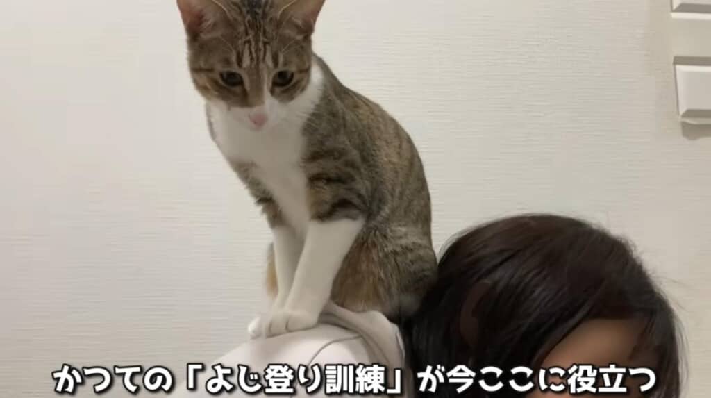 ママさんを独占しつつ見張り中