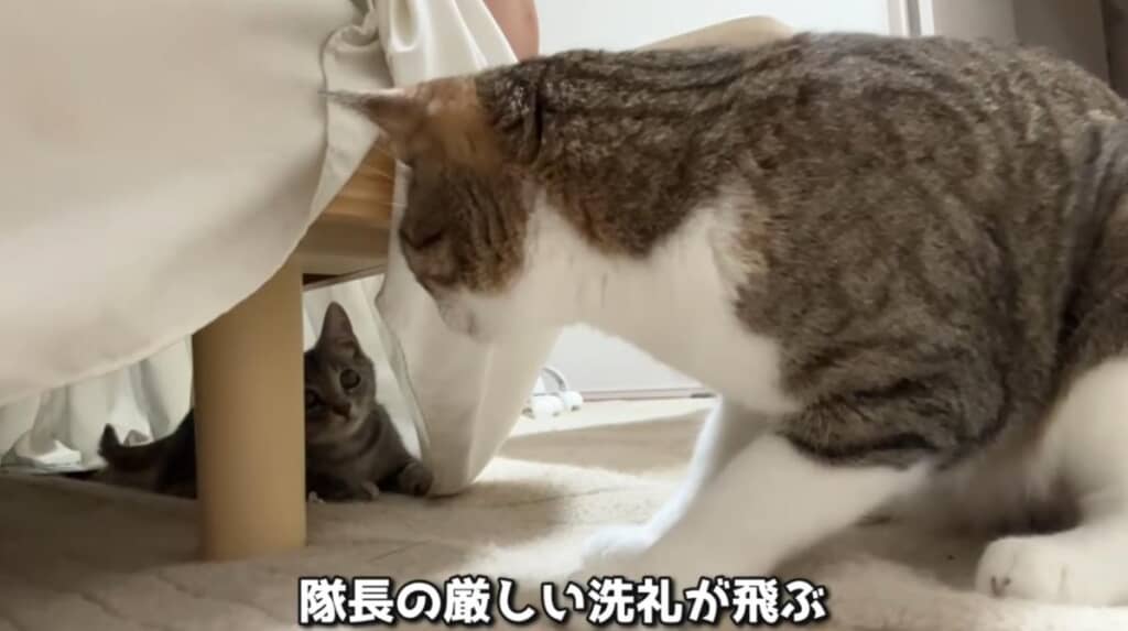 後輩への教育も熱心です