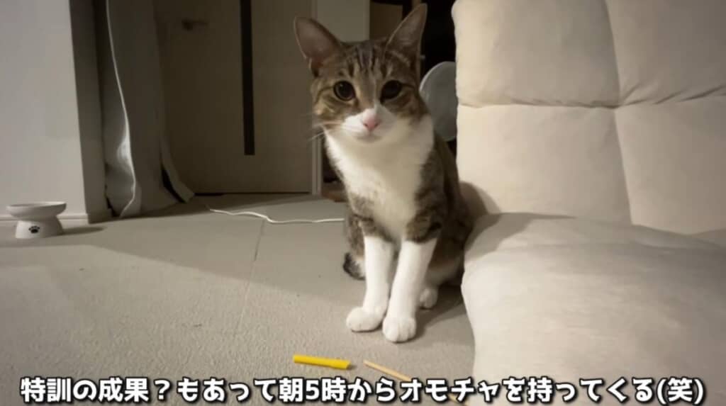 朝5時から持ってこいを披露