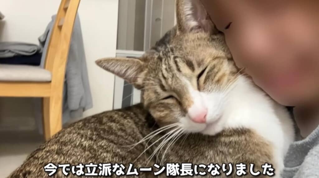 大好きな気持ちだけは昔のまま