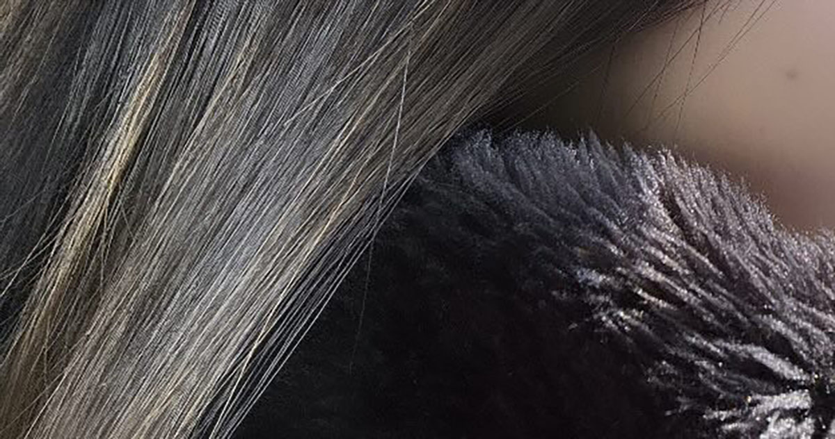 両親が日本人なのに「どこのハーフ?」とよく聞かれる女性→“奇跡”の姿に「うらやましい!」「遺伝子に感謝ですね」(1/3) | ライフスタイル ねとらぼ