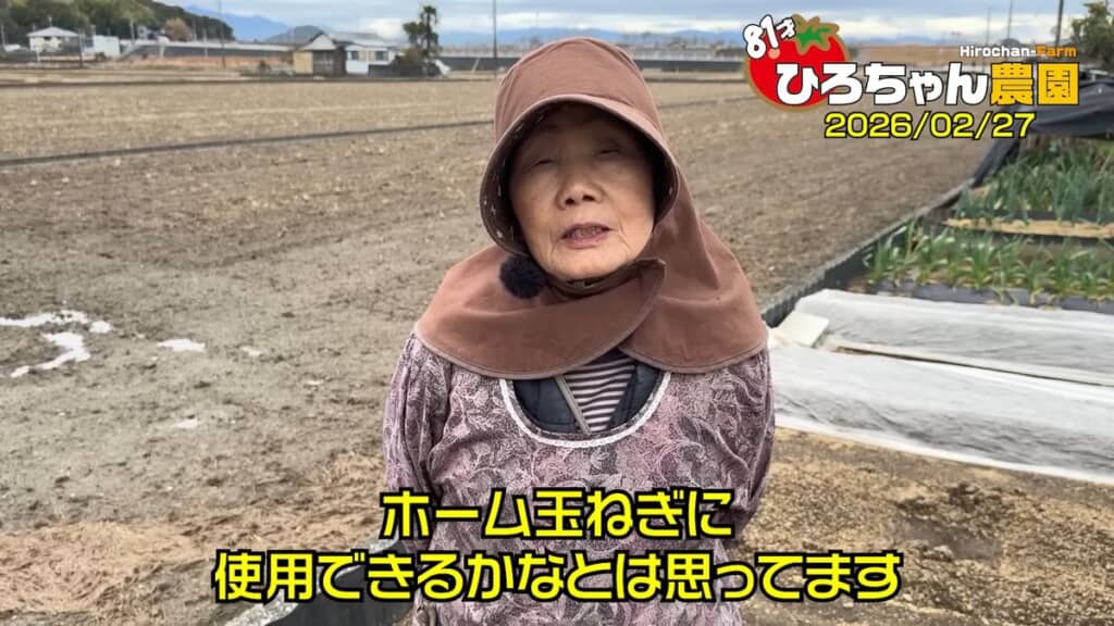 通常のタマネギとホーム玉ねぎを栽培している81歳のおばあちゃん