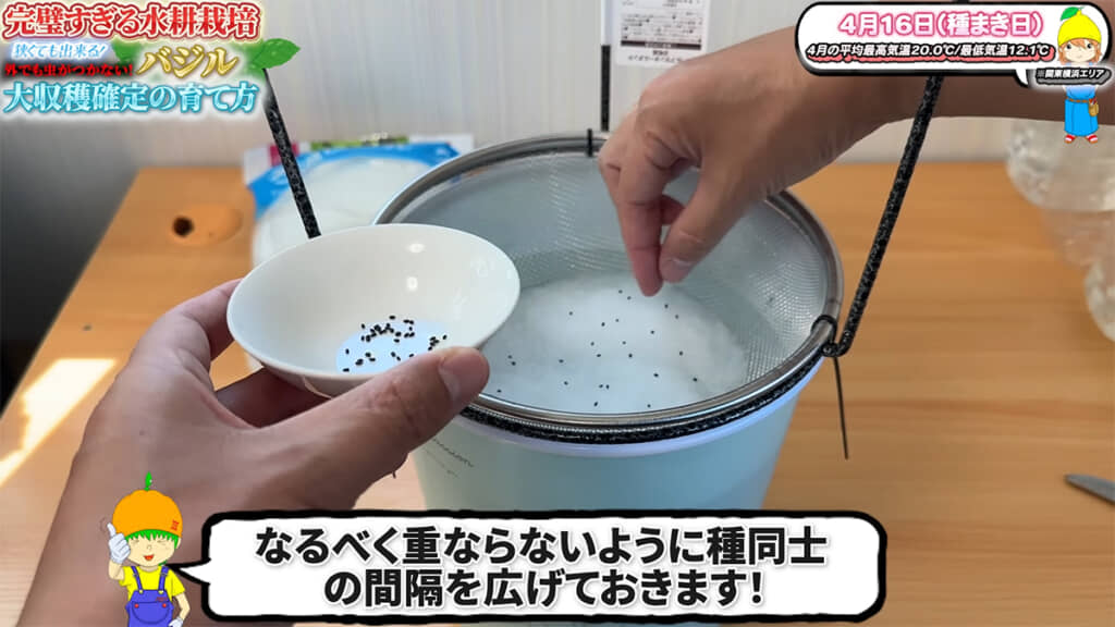 種は重ならないようにまきます