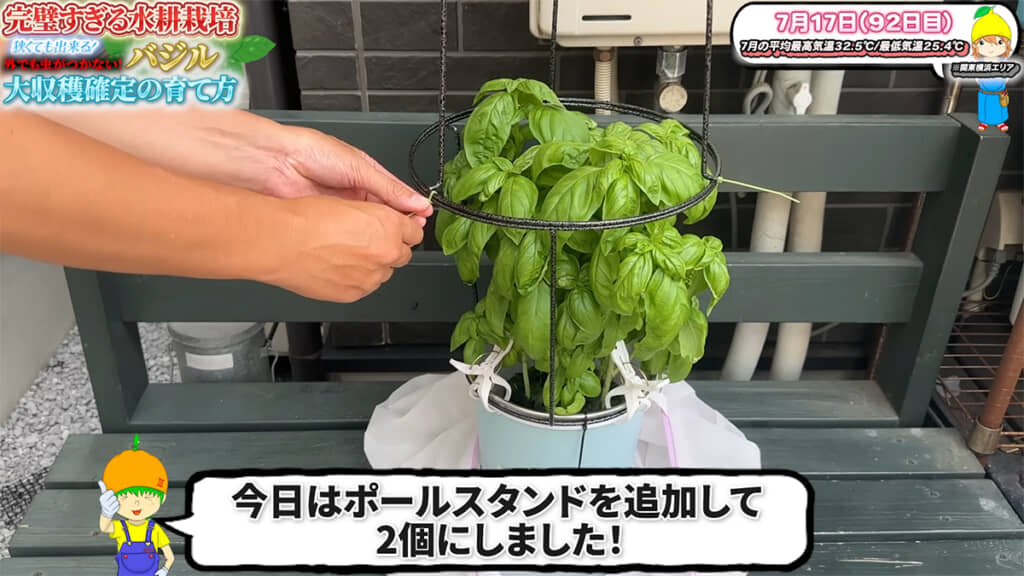 7月にはポールスタンドを追加しました